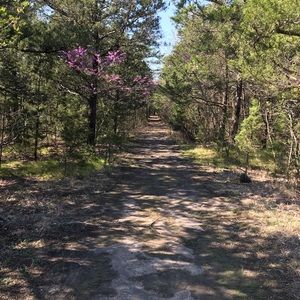 Meet your Posher, Joanna